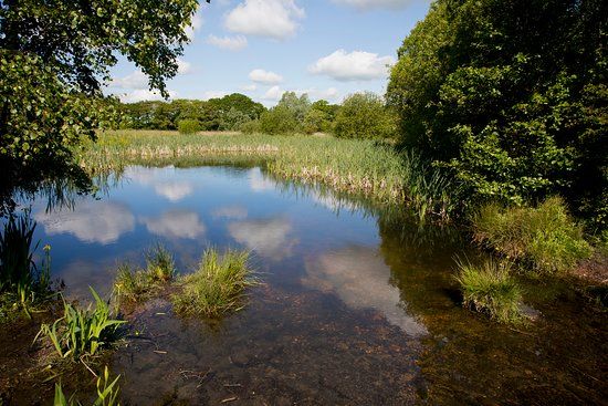 Havannah And Three Hills Nature Reserve